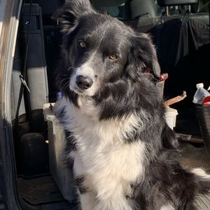 Meet your Posher, Robyn